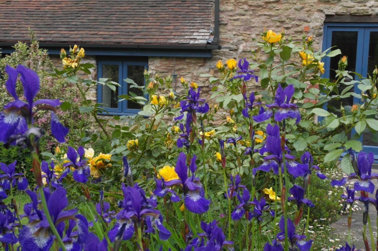 Prospect Barn Bed & Breakfast Hereford Eksteriør bilde